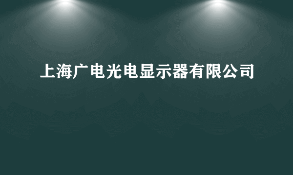 上海广电光电显示器有限公司