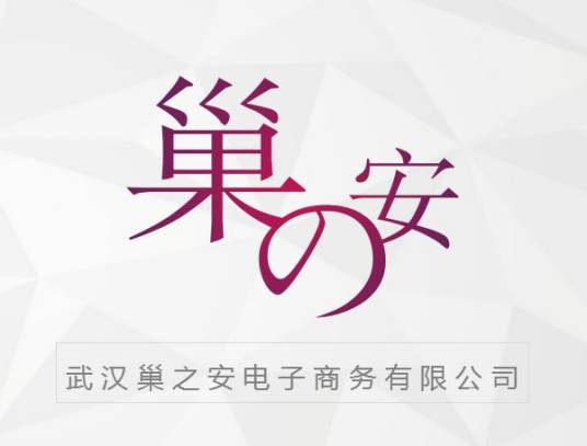 武汉巢之安电子商务有限公司