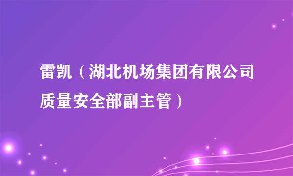 雷凯（湖北机场集团有限公司质量安全部副主管）