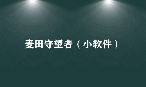 麦田守望者（小软件）