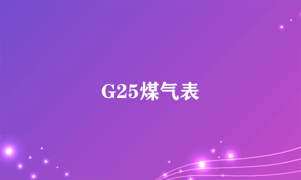 G25煤气表