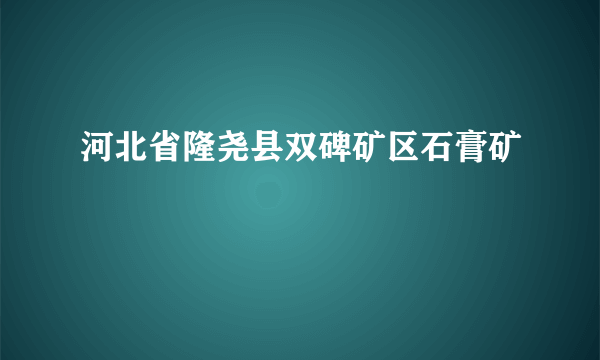 河北省隆尧县双碑矿区石膏矿