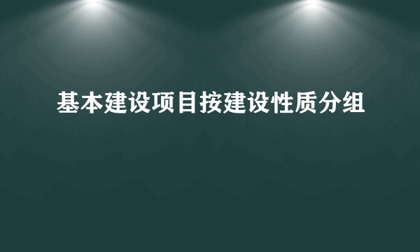 基本建设项目按建设性质分组