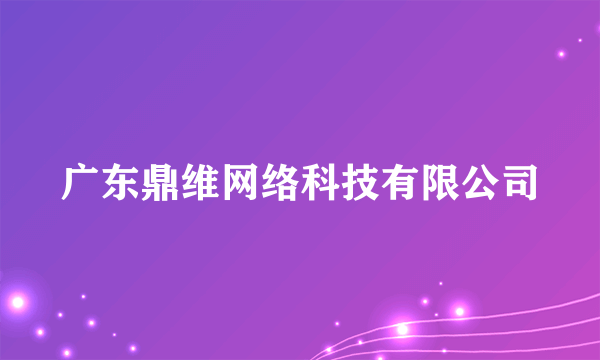 广东鼎维网络科技有限公司