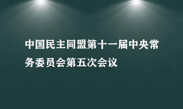 中国民主同盟第十一届中央常务委员会第五次会议