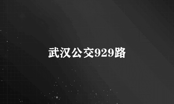 武汉公交929路