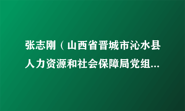 张志刚（山西省晋城市沁水县人力资源和社会保障局党组成员、副局长）