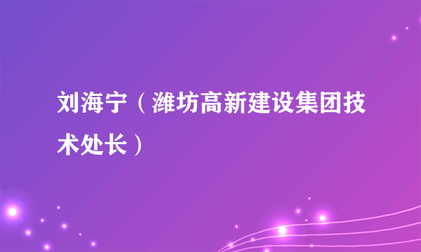 刘海宁（潍坊高新建设集团技术处长）