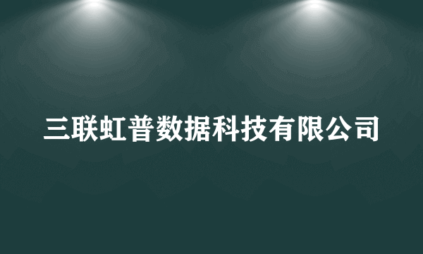 三联虹普数据科技有限公司