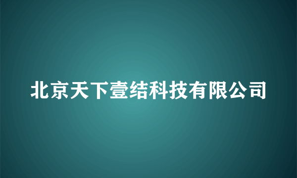 北京天下壹结科技有限公司