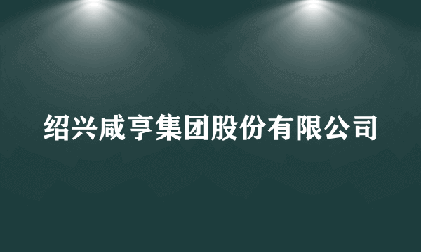 绍兴咸亨集团股份有限公司