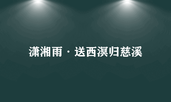 潇湘雨·送西溟归慈溪