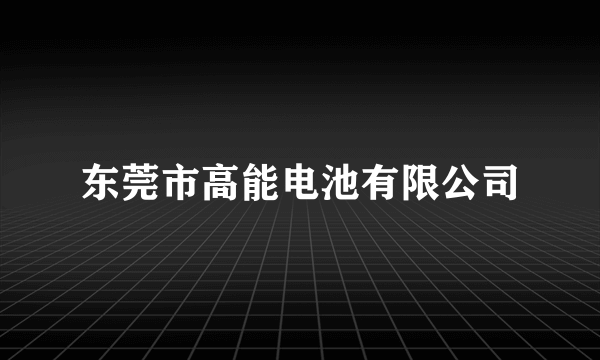 东莞市高能电池有限公司