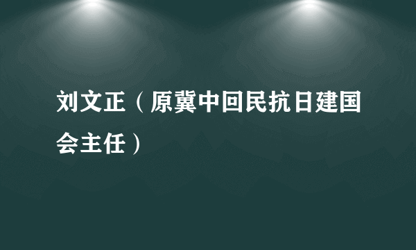 刘文正（原冀中回民抗日建国会主任）