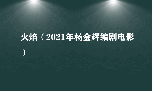 火焰（2021年杨金辉编剧电影）