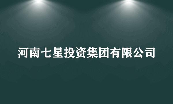 河南七星投资集团有限公司