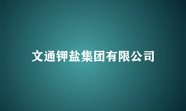 文通钾盐集团有限公司