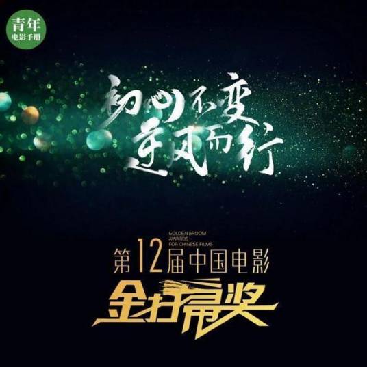 第12届中国电影金扫帚奖