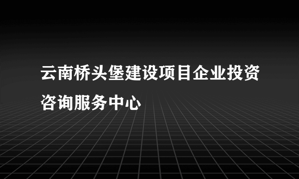 云南桥头堡建设项目企业投资咨询服务中心