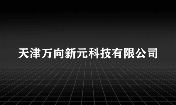 天津万向新元科技有限公司