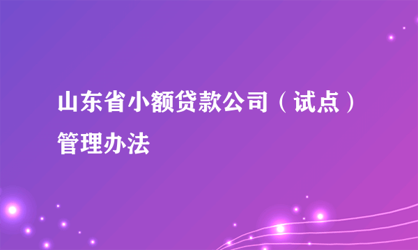 山东省小额贷款公司（试点）管理办法