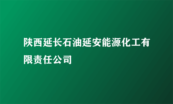 陕西延长石油延安能源化工有限责任公司