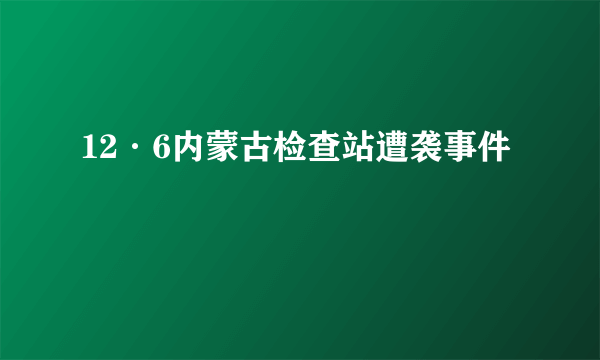 12·6内蒙古检查站遭袭事件