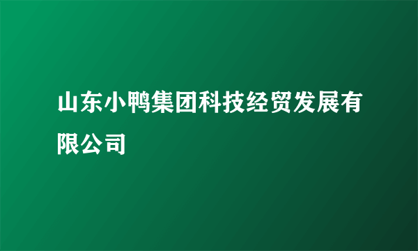 山东小鸭集团科技经贸发展有限公司