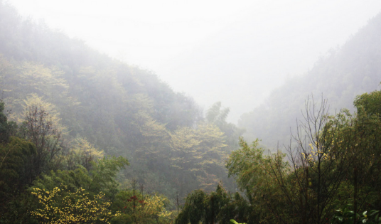 凤鸣山风景区