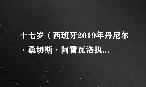 十七岁（西班牙2019年丹尼尔·桑切斯·阿雷瓦洛执导的剧情电影）