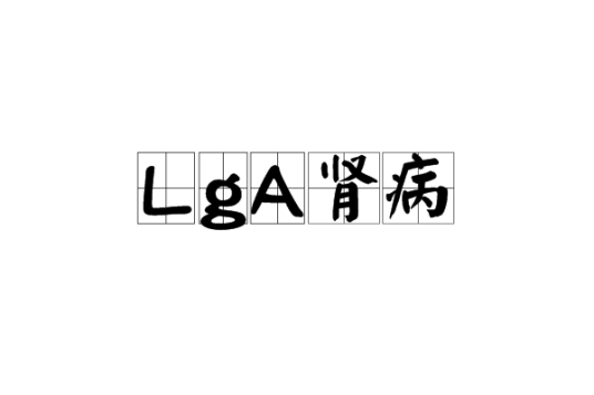 LgA肾病