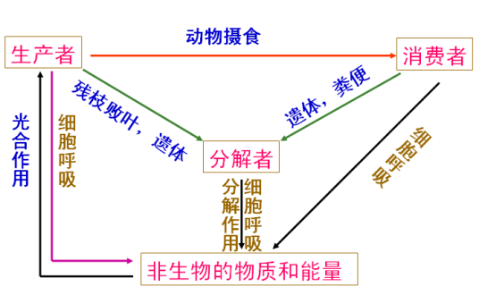 人类生态系统