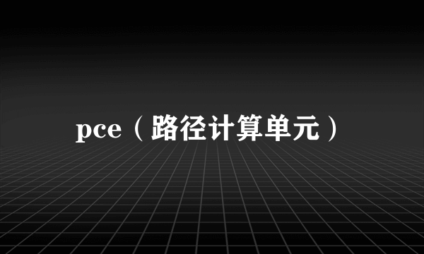 pce（路径计算单元）