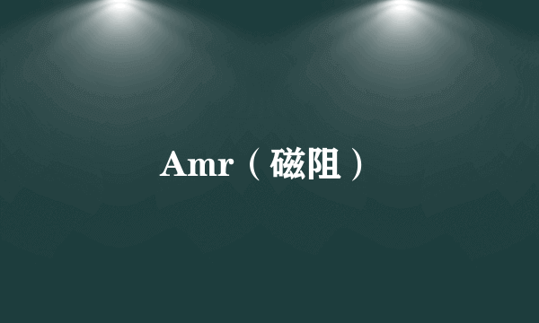 Amr（磁阻）