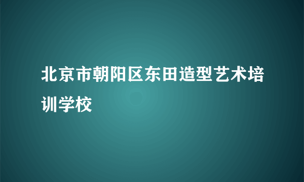 北京市朝阳区东田造型艺术培训学校