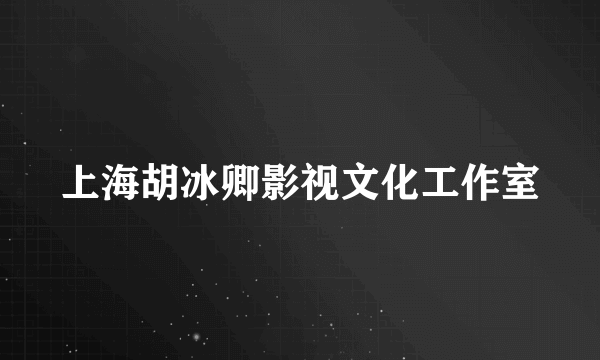 上海胡冰卿影视文化工作室