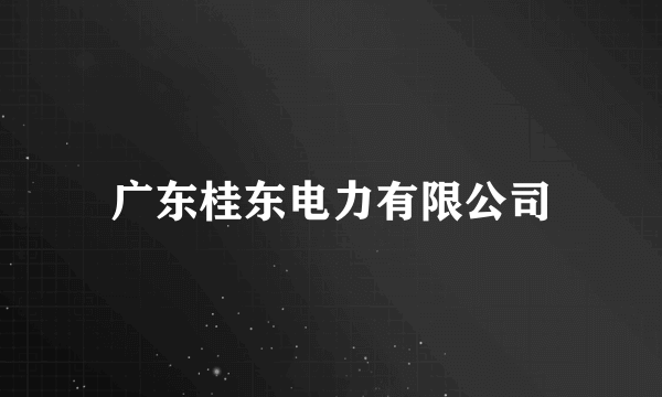 广东桂东电力有限公司