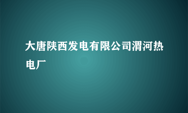 大唐陕西发电有限公司渭河热电厂