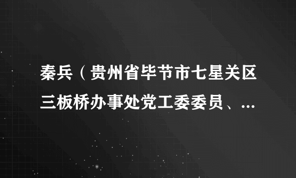 秦兵（贵州省毕节市七星关区三板桥办事处党工委委员、副主任）