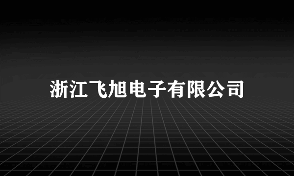 浙江飞旭电子有限公司