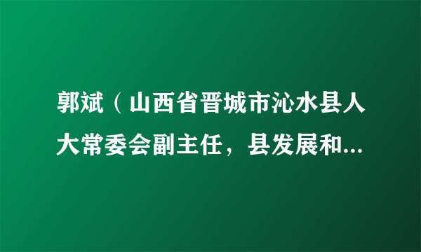 郭斌（山西省晋城市沁水县人大常委会副主任，县发展和改革局党组书记、局长）