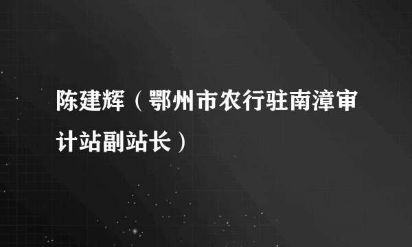 陈建辉（鄂州市农行驻南漳审计站副站长）