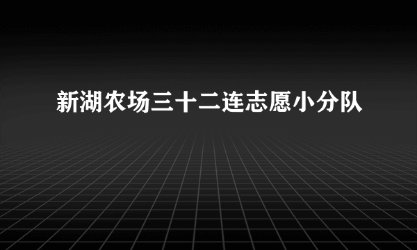 新湖农场三十二连志愿小分队