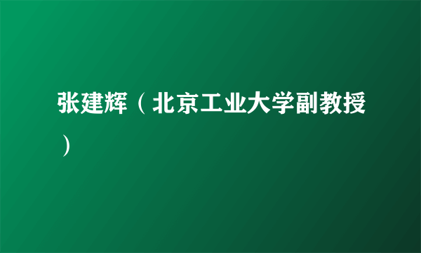 张建辉（北京工业大学副教授）