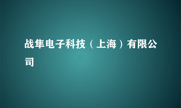 战隼电子科技（上海）有限公司