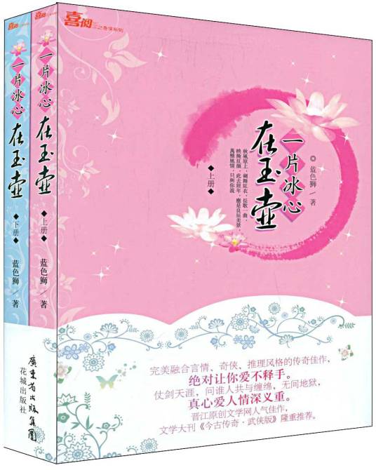 一片冰心在玉壶（2009年花城出版社出版的图书）