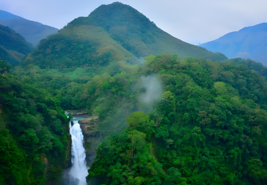 南昆山森林公园