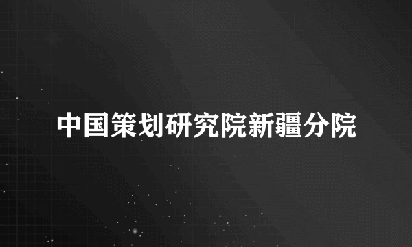 中国策划研究院新疆分院