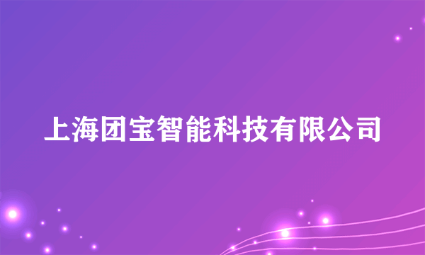 上海团宝智能科技有限公司