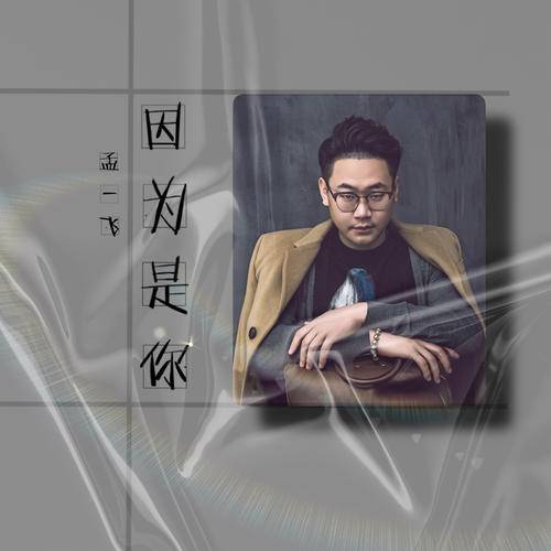 因为是你（孟一飞演唱歌曲）